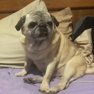 Meet your Posher, Andy